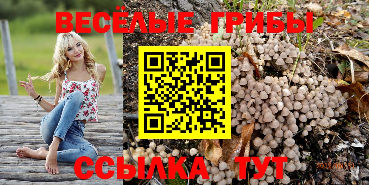 купить наркотики сайты  Вход с VPN  Калуга  Псилоцибиновые грибы мухоморы  Галлюциногенные грибы MAGIC MUSHROOMS 