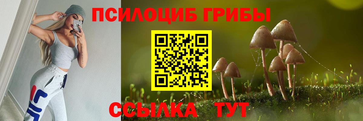 Псилоцибиновые грибы Psilocybe Калуга